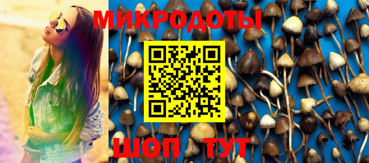 Галлюциногенные грибы Cubensis  Вход с VPN  Касимов  Галлюциногенные грибы GOLDEN TEACHER 