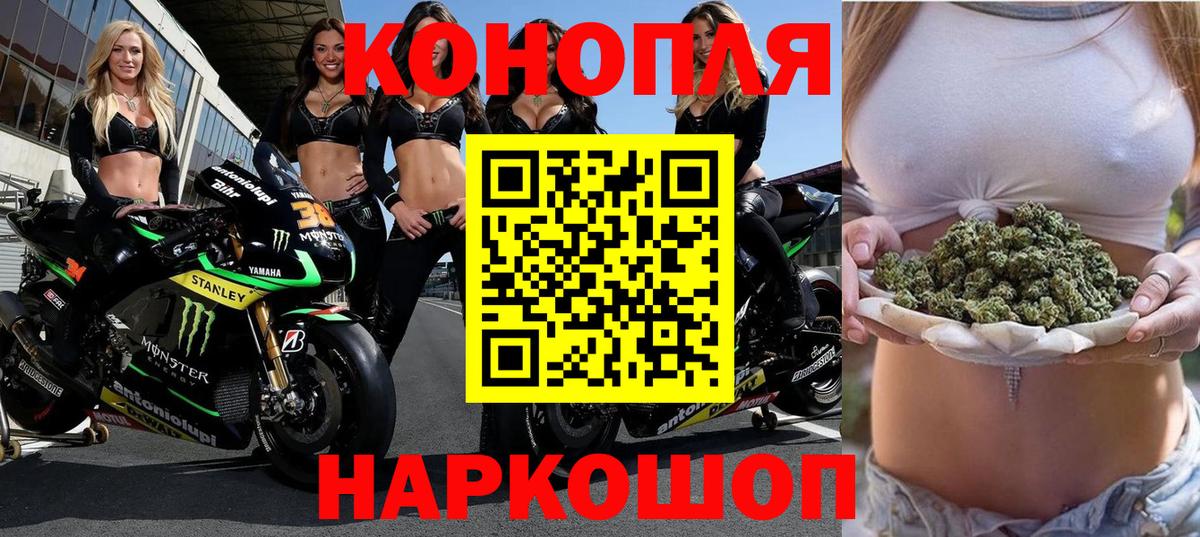 Шишки марихуана план Касимов